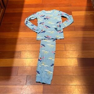 Hanna Andersson Blue Pajama Set with narwhal